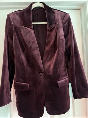 Express Velvet Blazer Jacket - Plum